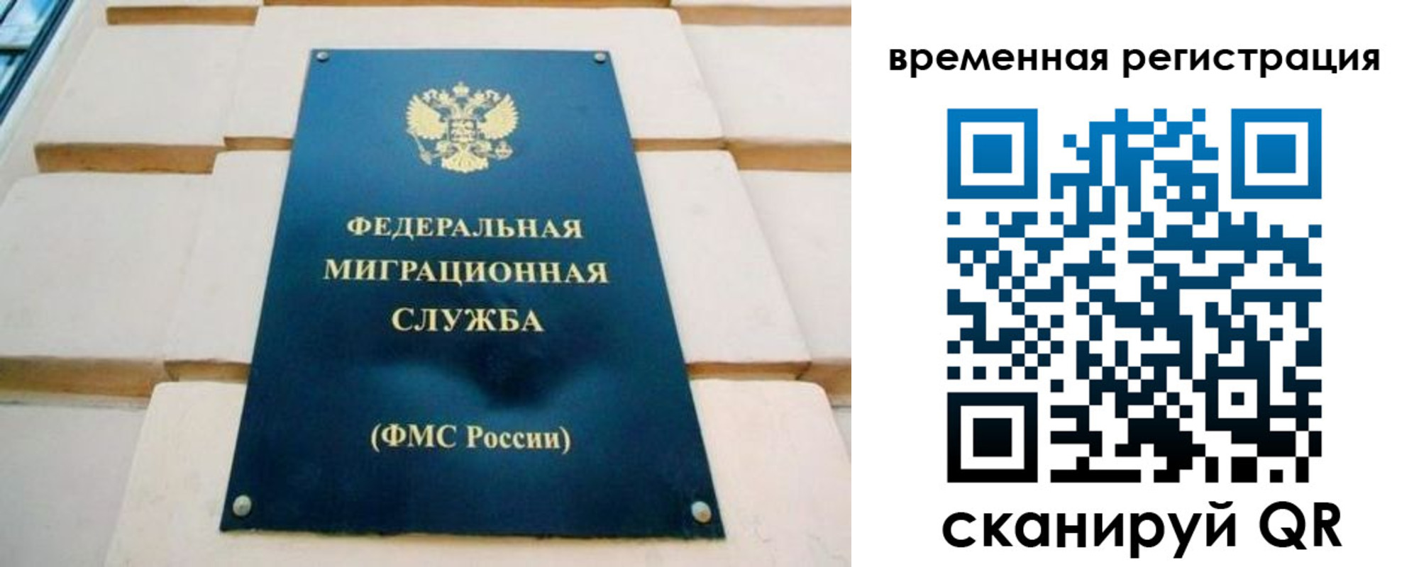 прописка гарантия в Каргополе